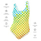 Warm & Cool Check One-Piece Swimsuit