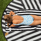 Pool 49 One-Piece Swimsuit